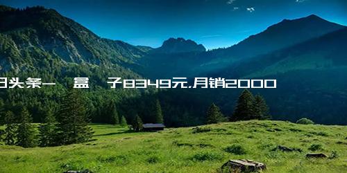 今日头条-一盒粽子8349元，月销2000、，被谁买走了？网友 买的人不吃，吃的人不买